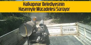 Halkapınar Belediyesinin Haşereyle Mücadelesi Sürüyor