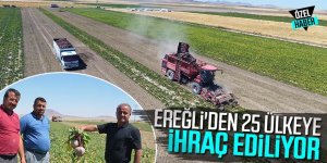 EREĞLİ'DEN 25 ÜLKEYE İHRAÇ EDİLİYOR