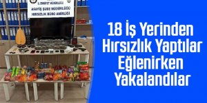 Bir haftada 18 iş yerinden hırsızlık yaptılar, eğlenirken yakalandılar