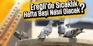 Ereğli’de Sıcaklık Hafta Başı Nasıl Olacak ?