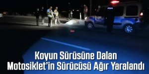 Koyun sürüsüne dalan Motosiklet’in sürücüsü ağır yaralandı