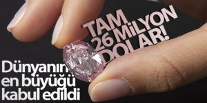 Açık arttırmaya çıkarılan pembe elmas