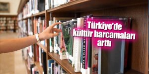 Türkiye'de kültür harcamaları arttı