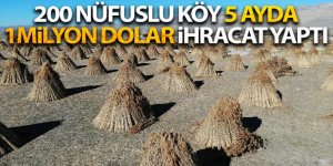 200 nüfuslu köy 5 ayda 1 milyon dolarlık ihracat yapıyor