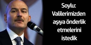 Bakan Soylu: Valilerimizden aşıya önderlik etmelerini istedik