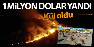 1 milyon dolar yanarak kül oldu