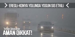 Yoğun sis Ereğli’de ulaşımda etkili oluyor