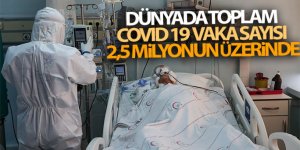 Dünyada toplam Covid 19 vaka sayısı 2,5 milyonun üzerinde