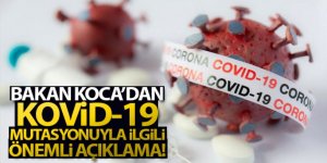 Bakan Koca: 'İngiltere'nin rapor ettiği gen mutasyonuna Türkiye'de rastlanmamıştır'