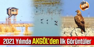 Doğa harikası kuş cenneti Akgöl’den 2021 yılının ilk görüntüleri