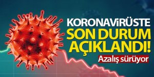 Türkiye'de son 24 saatte 5.862 koronavirüs vakası tespit edildi