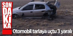 Kontrolden çıkan otomobil tarlaya uçtu: 3 yaralı