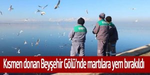 Kısmen donan Beyşehir Gölü'ne martılar için yem bırakıldı