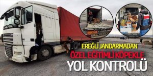 EREĞLİ’DE JANDARMADAN ŞOK UYGULAMA