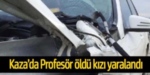 Bariyerler otomobile ok gibi saplandı: Profesör öldü, kızı yaralandı.