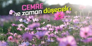 İlk cemre ne zaman düşecek?