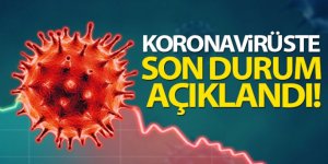 Türkiye'de son 24 saatte 7.706 koronavirüs vakası tespit edildi