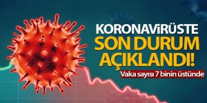 Türkiye'de son 24 saatte 7.419 koronavirüs vakası tespit edildi