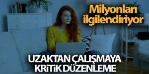 Uzaktan Çalışma Yönetmeliği Resmi Gazete'de yayımlandı