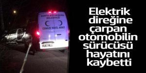 Elektrik direğine çarpan otomobilin sürücüsü hayatını kaybetti