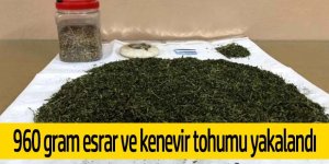  960 gram esrar ve kenevir tohumu yakalandı