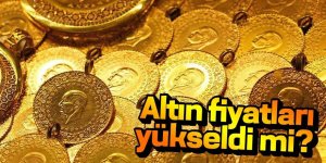 Altın fiyatları yükseldi mi?
