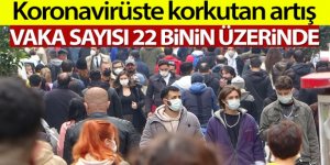 Türkiye'de son 24 saatte 22.216 koronavirüs vakası tespit edildi