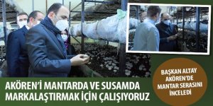  “Akören’i Mantarda ve Susamda Markalaştırmak İçin Çalışıyoruz”