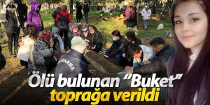 Yol kenarında ölü bulunan ‘’Buket’’ toprağa verildi