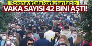 Türkiye'de son 24 saatte 42.308 koronavirüs vakası tespit edildi