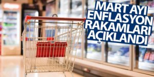 TÜFE aylık yüzde 1,08 arttı