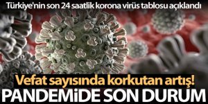 Sağlık Bakanlığı, Türkiye'nin son 24 saatlik korona virüs tablosunu açıkladı