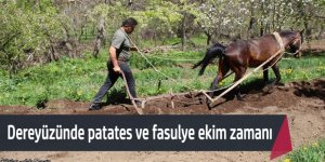 Halkapınar’da patates ve fasulye ekimi başladı