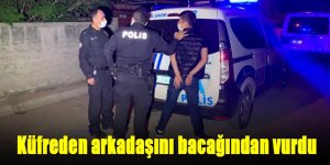 Küfreden arkadaşını bacağından vurdu