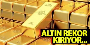 Altın fiyatları 3 ayın zirvesinde