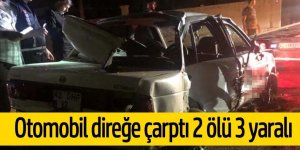 Otomobil direğe çarptı: 2 çocuk öldü, 3 çocuk yaralandı