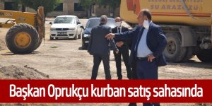 Başkan Oprukçu kurban satış sahasında