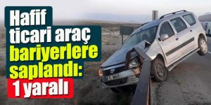 Hafif ticari araç bariyerlere saplandı: 1 yaralı