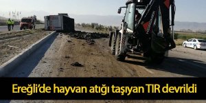 Ereğli’de hayvan atığı taşıyan TIR devrildi