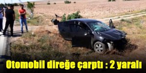 Otomobil elektrik direğine çarptı: 2 yaralı