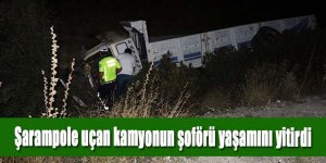 Şarampole devrilen kamyonun şoförü yaşamını yitirdi