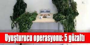 Uyuşturucu operasyonu: 5 gözaltı