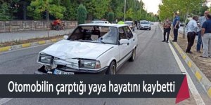 Otomobilin çarptığı yaya hayatını kaybetti