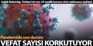 Son 24 saatte korona virüsten 232 kişi hayatını kaybetti