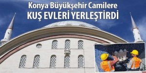 Konya Büyükşehir Camilere Kuş Evleri Yerleştirdi