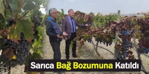 İlçe Tarım Müdürü Sarıca Bağ Bozumuna Katıldı...