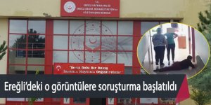 Ereğli’deki ortaya çıkan o görüntülere soruşturma başlatıldı