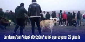 Jandarma’dan 'köpek dövüşüne' şafak operasyonu: 25 gözaltı