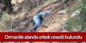 Ormanda erkek cesedi bulundu