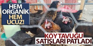 Köy tavuğu satışları patladı